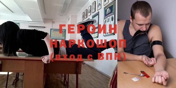 прущие грибы Новозыбков