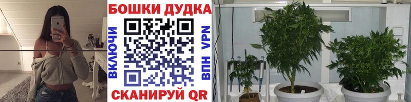 Каннабис сатива  закладки  гидра ONION  Когалым 